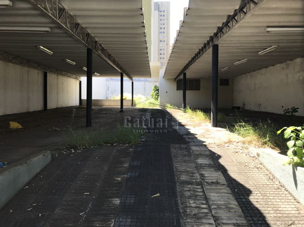 Terreno Centro